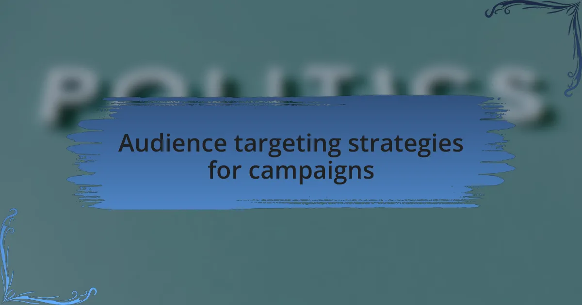 Audience targeting strategies for campaigns