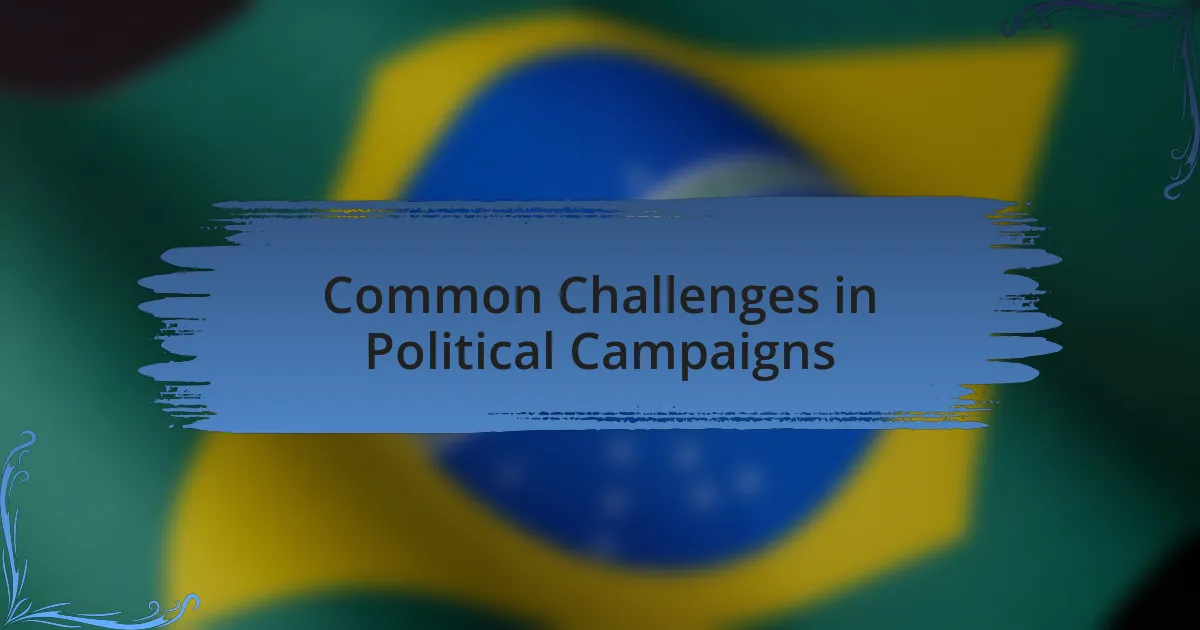Common Challenges in Political Campaigns