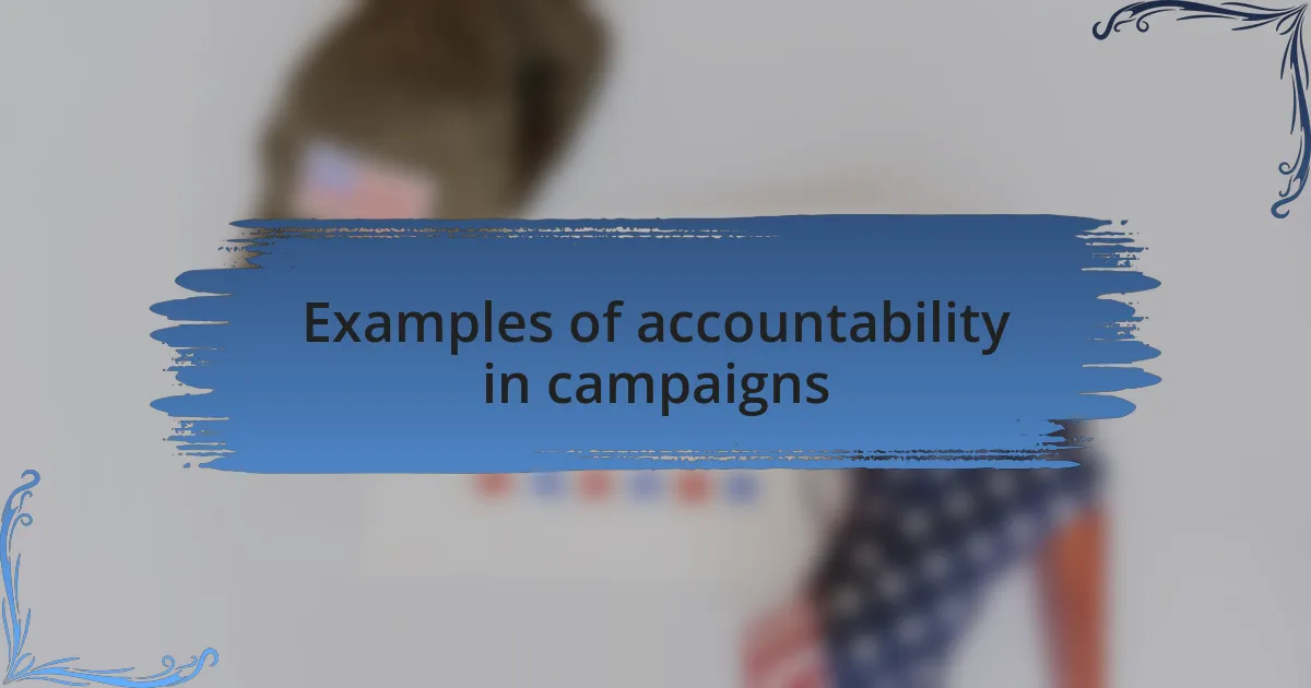 Examples of accountability in campaigns