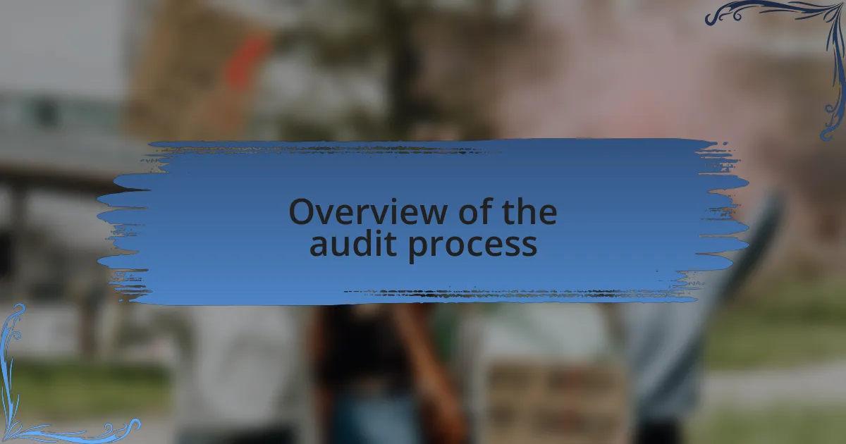Overview of the audit process