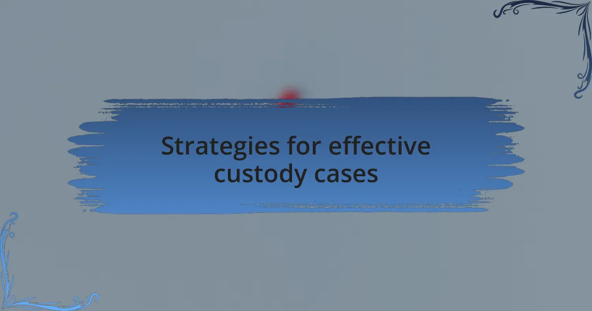 Strategies for effective custody cases