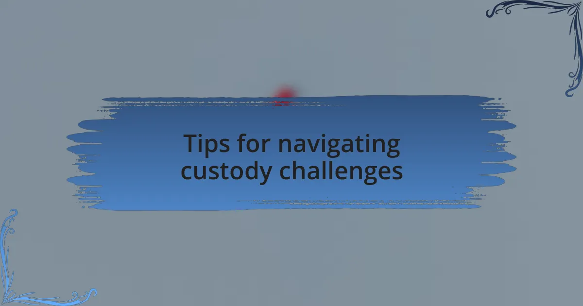 Tips for navigating custody challenges
